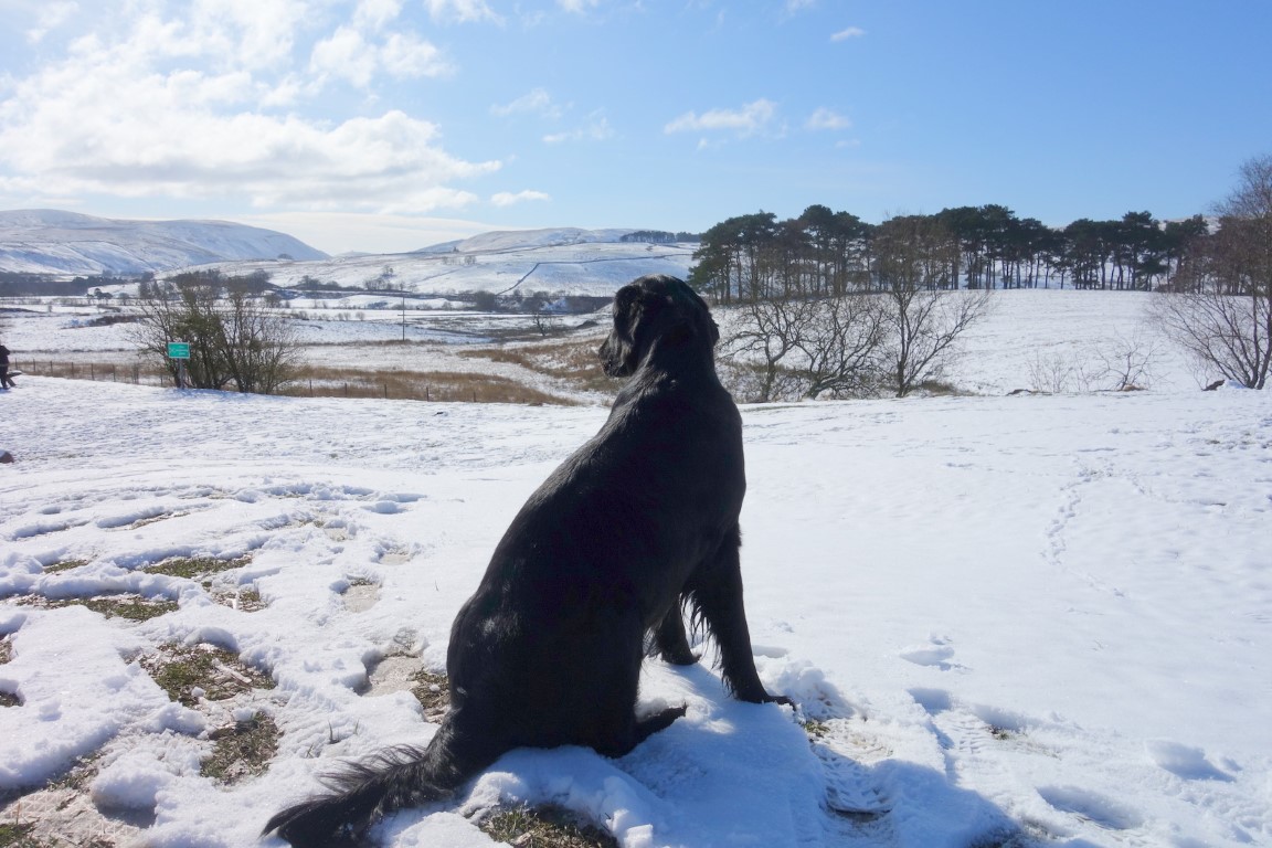 Open countryside views at Brumley Brae